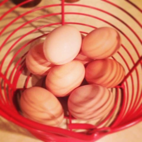 eggs 2013