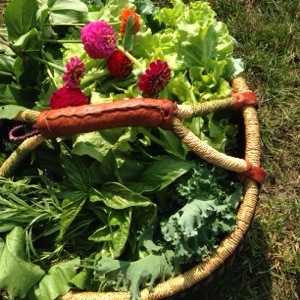 The garden basket…